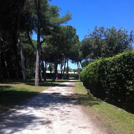 Aparthotel Serra 1