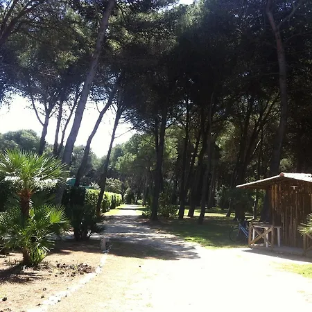 Serra 1 מלון דירות אלימיני