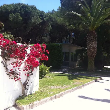 Serra 1 Apart-hotel Alimini